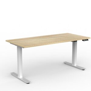 Agile Electric Motor High Adjustable Straight Desk