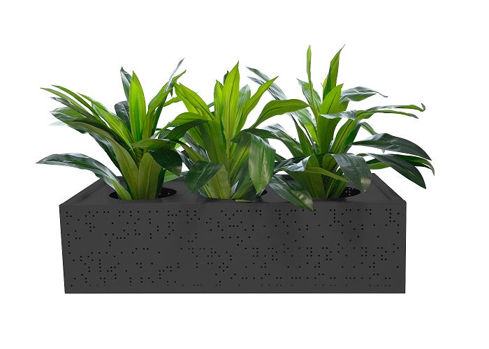 Black-Planter-1_ce019e11-eb7a-4129-b51e-7a320deed720.jpg