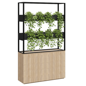 Cafe-Vertical-Garden.png