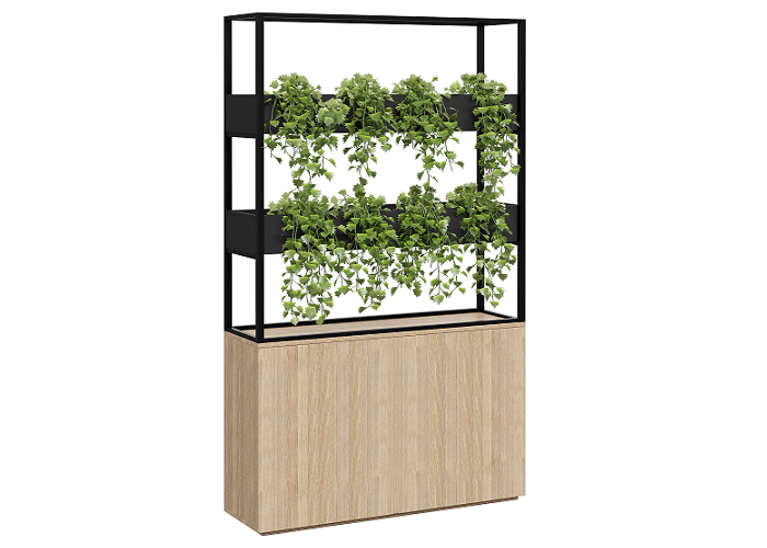 Cafe-Vertical-Garden.png