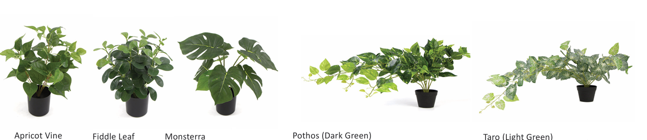 DD_Plant_Options.png