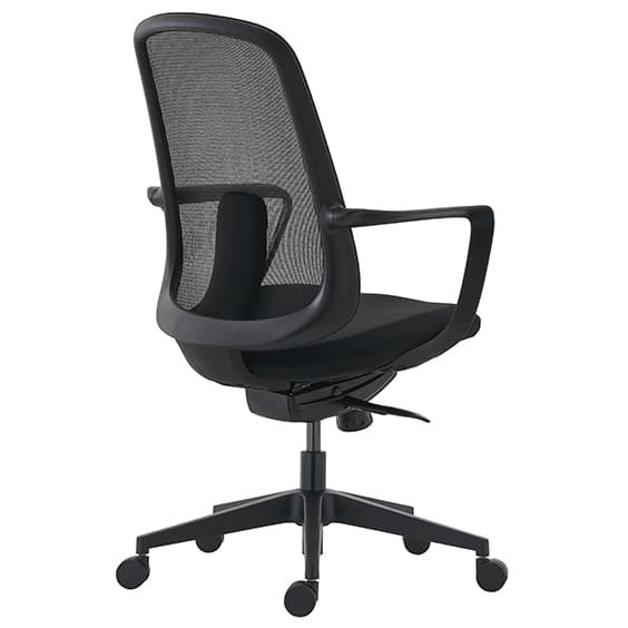 DELA-Back-side-view.jpg