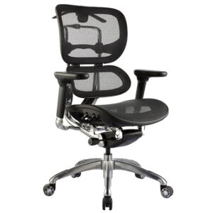 ERGO-1L.jpg