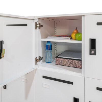 Office-Locker-1-1000x699-1.jpg