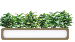 Rover_Planter_Box_Large_fd02fc1c-991b-4801-a9bc-d27937421291.png
