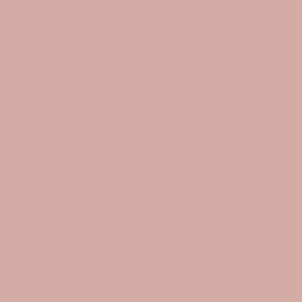 Salmon-3_c9393ca0-d312-47f4-aac9-2b928ef4f81c.png